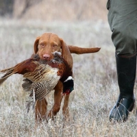 Vadásztanfolyam indul!