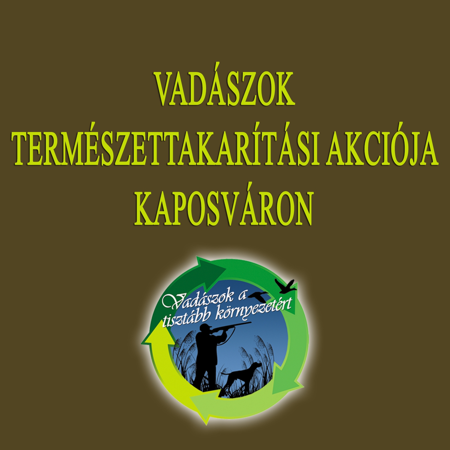 FELH&Iacute;V&Aacute;S